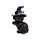 Decorative World Figures - Witches Black Cat