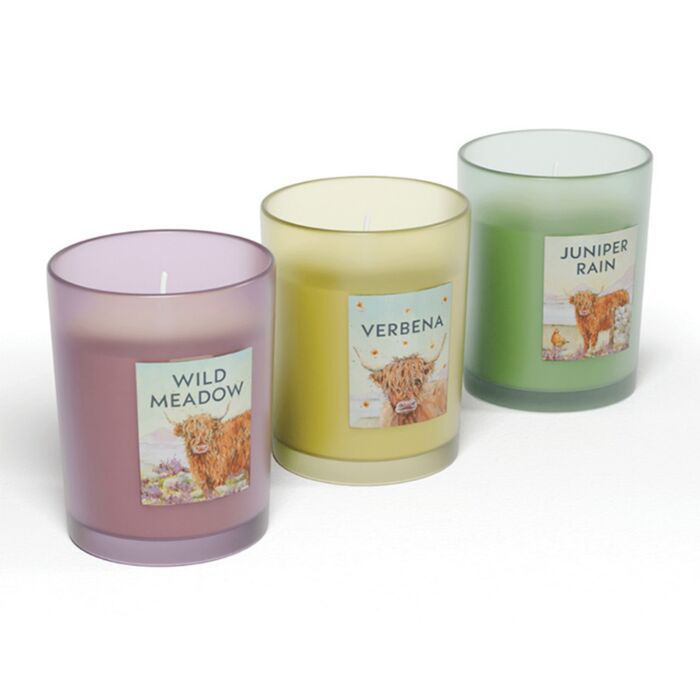 Scented Votive Candle - Jan Pashley Highland Coo