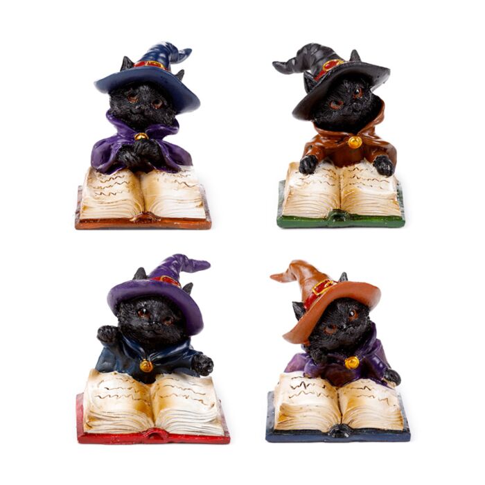 Witches Cat - Reading from Magical Spell Book