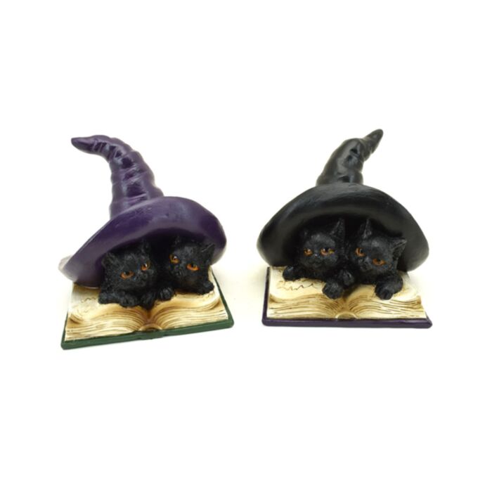 Witches Cat - Learning Spells