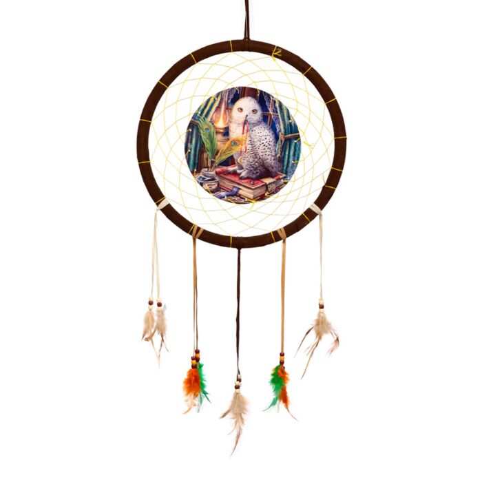 Dreamcatcher (Medium) - Lisa Parker Guardian of Spells Owl