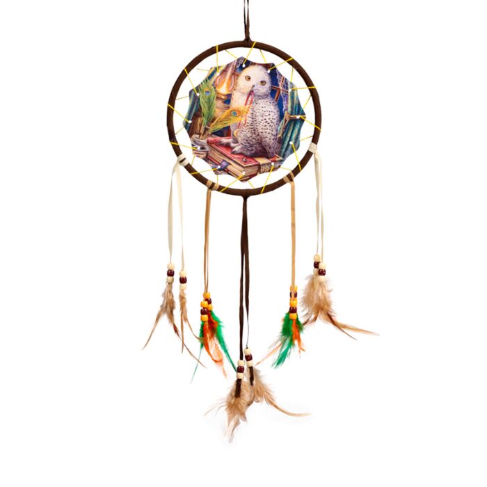 Dreamcatcher (Small) - Lisa Parker Guardian of Spells Owl