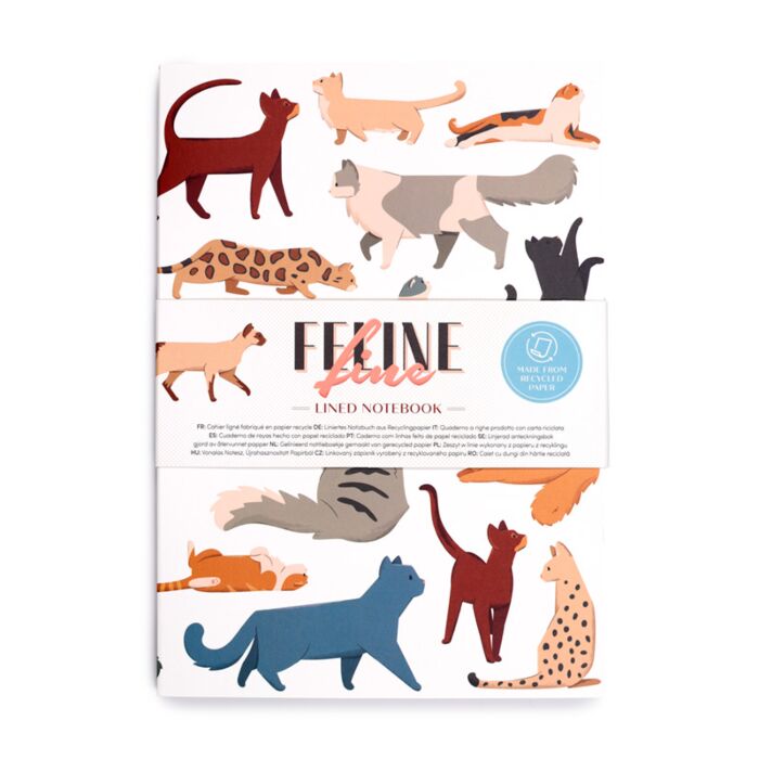 Recycled Paper A5 Lined Notebook - Feline Fine Cats