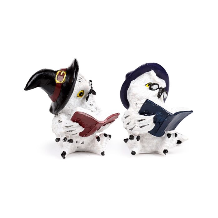 Wise Old Magical Owl - Reading Spell Books