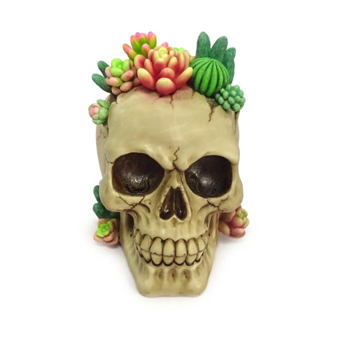 Decorative Ornament - Skull with Succulent Plants