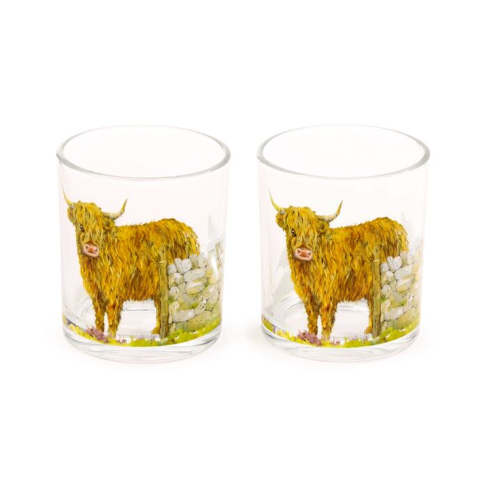 Glass Tumbler Set of 2 250ml - Jan Pashley Highland Coo Cow