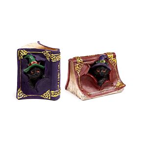 Witches Cat - Mischievous Spell Book Witches Cat - Mischievous Spell Book