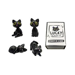 Mini Charm in a Box - Lucky the Black Cat Mini Charm in a Box - Lucky the Black Cat