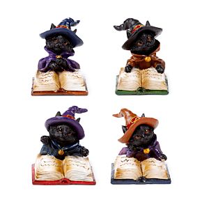 Witches Cat - Reading from Magical Spell Book