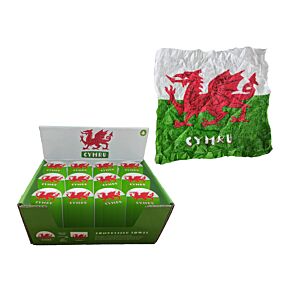 Compressed Travel Towel - Welsh Dragon Wales (Cymru)