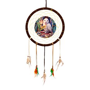 Dreamcatcher (Medium) - Lisa Parker Guardian of Spells Owl