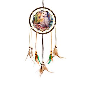 Dreamcatcher (Small) - Lisa Parker Guardian of Spells Owl