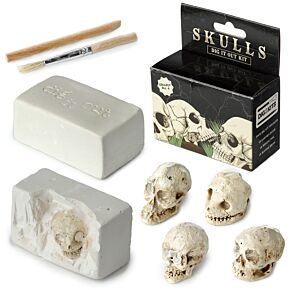 Fun Excavation Dig it Out Kit - Human Skull Fun Excavation Dig it Out Kit - Human Skull