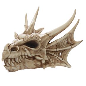 Collectable Dragon Skull Collectable Dragon Skull