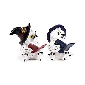 Wise Old Magical Owl - Reading Spell Books