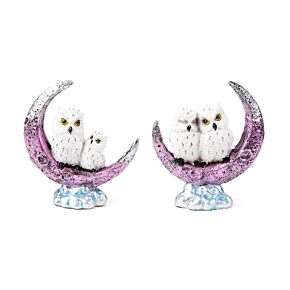 Wise Old Magical Owl - Crescent Moon