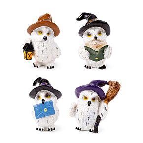 Wise Old Magical Owl - Enchanted Apprentice