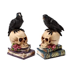Decorative Ornament - Crow on Skull & Books Decorative Ornament - Crow on Skull & Books