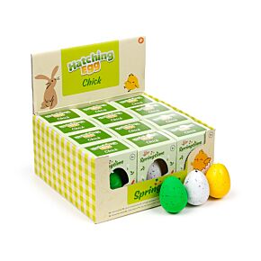 Hatching Egg Toy - Springtime