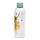 Reusable Insulated Drinks Bottle 530ml - Jan Pashley Highland Coo Cow 