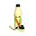 Reusable Insulated Drinks Bottle 500ml - Tropical Tree Frogs