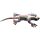 Collectable Frill Neck Lizard Design Large Sand Animal