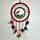 Dreamcatcher (Medium) - Mountain Wolf