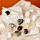 Fun Excavation Dig it Out Kit - Rocks, Minerals & Gems