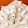 Fun Excavation Dig it Out Kit - Human Skull