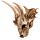 Decorative Fantasy Dragon Skull