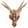 Decorative Fantasy Dragon Skull