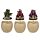 Hatching Elements Dragon Egg Trinket Box