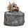 Shadows of Darkness Dragon Skull Trinket Box