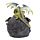 Elements Dragon - LED Woodland Crystal Den