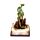Dark Legends LED Dragon - Enchanted Fairytale Castle Earth Dragon