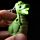 LED Light & Sound Keyring - RAWR Dinosaur
