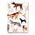Recycled Paper A5 Lined Notebook - Barks Dog