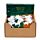 Set of 5 Luck & Wealth Stones