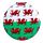 Compact Mirror - Welsh Dragon Wales (Cymru)