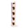 Large Colouring Pencil Tube - Jan Pashley Highland Coo