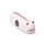 Silicone Pencil Case - Adoramals Cat