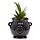 Decorative Ceramic Indoor Shaped Planter - Witches Cauldron