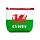 PVC Purse - Welsh Dragon Wales (Cymru)