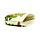 PVC Purse - Tropical Frogs