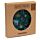 Recycled RPET Set of 4 Picnic Plates - Animal Kingdom