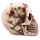 Fantasy Skull Head with Roses Ornament