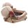 Fantasy Skull Lovers Ashtray