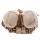 Fantasy Skull Lovers Ashtray