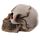 Novelty Red Eyed Skull Decoration
