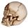 Speak No, Hear No, See No Evil Set of 3 Skulls